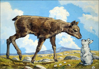 Gazelle Calf and Rabbit (Original)