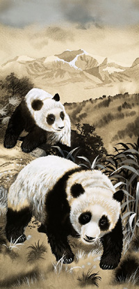 Giant Panda (Original)