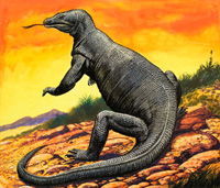 Komodo Dragon (Original)