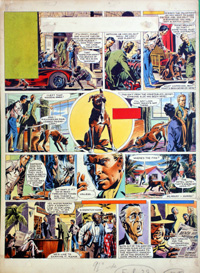 Martin Aitchison biography