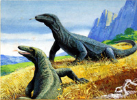 Komodo Dragons (Original)