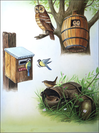 Strange Homes (Original) (Signed)