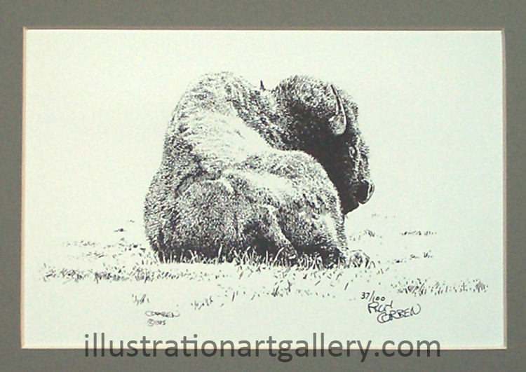 Buffalo (Signed) (Limited Edition)