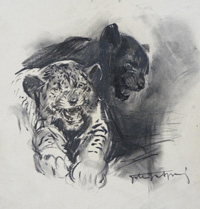 Wild Cats (Original) (Signed)