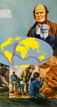 Charles Darwin, Alfred Wallace and Evolution (Original)