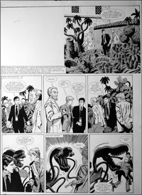 Warlock - Triffid (Original)