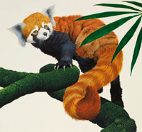 Kenneth Lilly biography