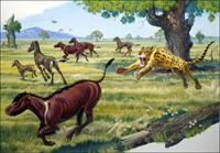 Hunter and Hunted (Original)