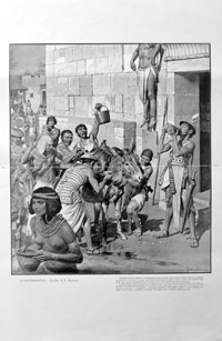 Scena Illustrata - Contrasto (Print)