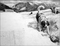 St Bernard's Mountain Rescue (Original) (Signed)