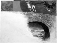 Tam o' Shanter (Original) (Signed)