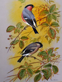 Paul A Nicholas biography