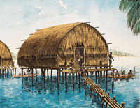 Alex Packham biography