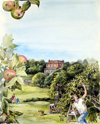 Further Tales From A Country Practice cover art (Original)