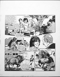 Man About The House - Bull Fights (Original)