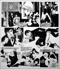 Danger for the Partridge Family (Original)