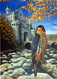 Mark Poole biography