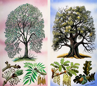 Ash and Oak Trees (Original) (Signed)