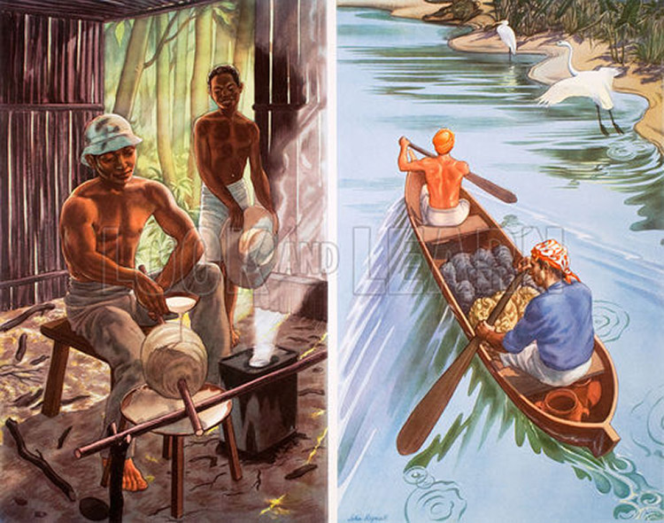 Rubber Collectors in Amazonian forest (Original Macmillan Poster) (Print) by John Rignall at The Illustration Art Gallery