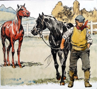 Black Beauty - The Long Goodbye (Original)