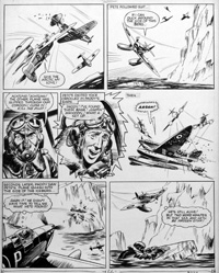 Peter Sarson biography