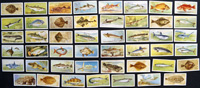 Set of 46 'Sea Fishes' John Player & Sons Cigarette Cards (1935)