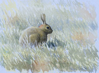 Andrew Stock biography