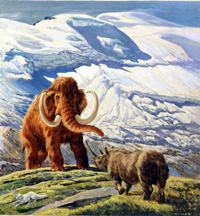 Eric Tansley biography