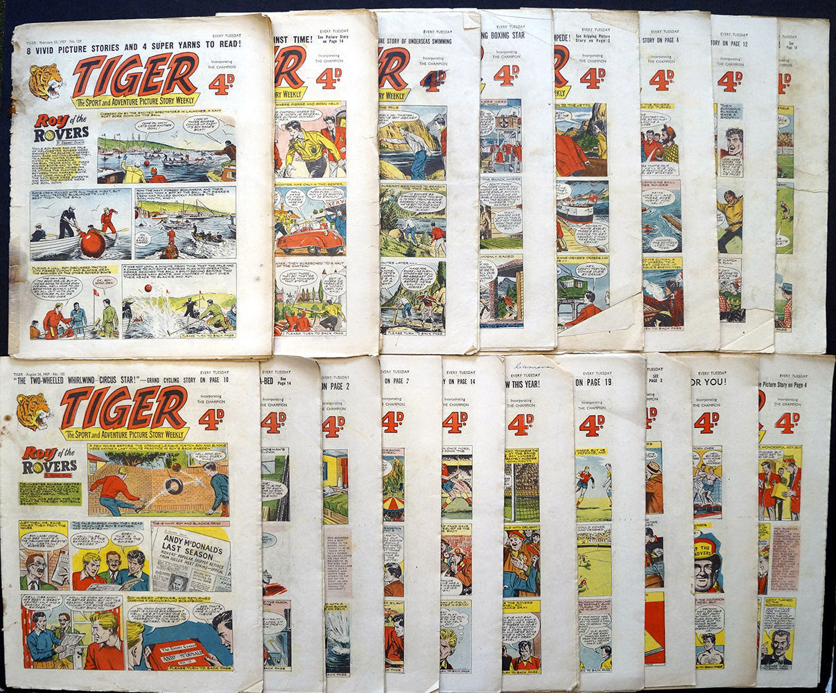 Tiger