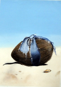 The Coconut Book book cover art (Original)