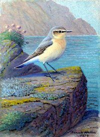 Donald Watson biography