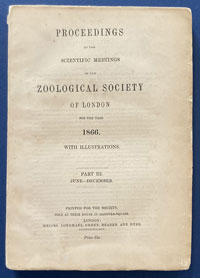 Proceedings of the Scientific Meetings of the Zoological Society of London  1866  June to December